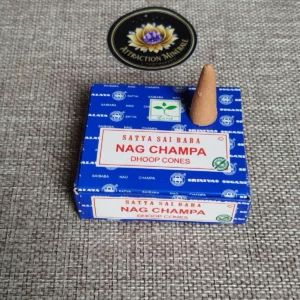 Cônes d'Encens Satya Nag Champa 24g